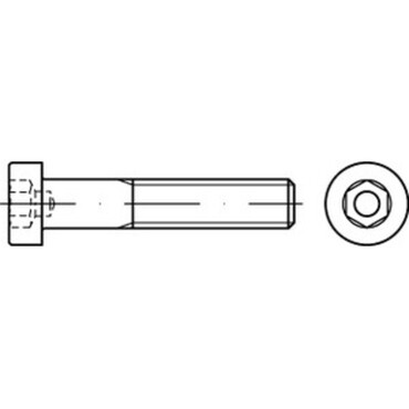 DIN6912 Lage cilinderkopschroef binnenzeskant en tapgeleiding Staal 8.8 elektrolytisch verzinkt